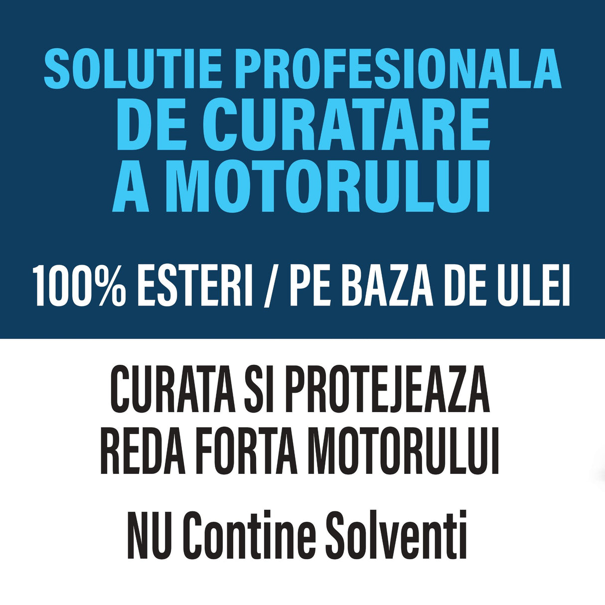 TRIAX Pro Engine Flush - Aditiv de curatare motor